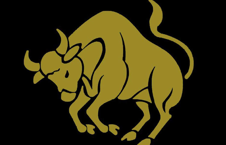 বৃষ : এই রাশির জাতক-জাতিকারা এমনিতে খুব বিনয়ী হন, কিন্তু প্রথম দর্শনে কীভাবে মন জিততে হয় তা-ও খুব ভালোভাবে জানেন। নম্র হলে যে আকর্ষণ কমে না, সে বিষয়ে এদের জ্ঞান টনটনে।