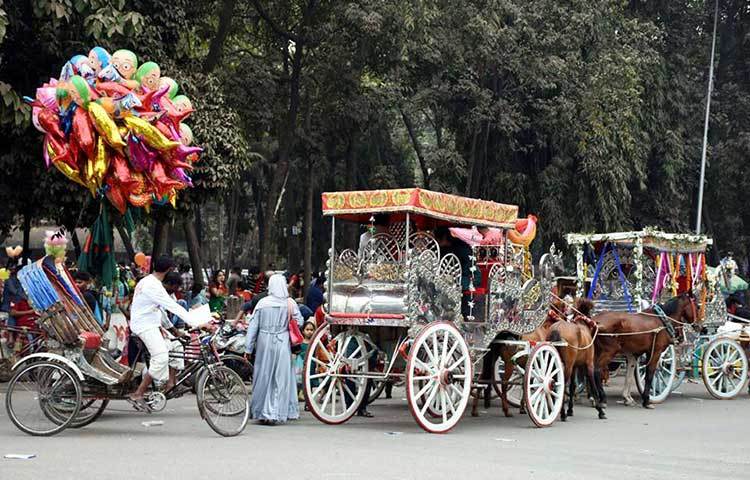 রাজধানীতে বিজয় দিবসের ভ্রমণের জন্য ঐহিত্যবাহী টমটম গাড়ি প্রস্তুত রয়েছে। ছবি : বিপ্লব দিক্ষিৎ