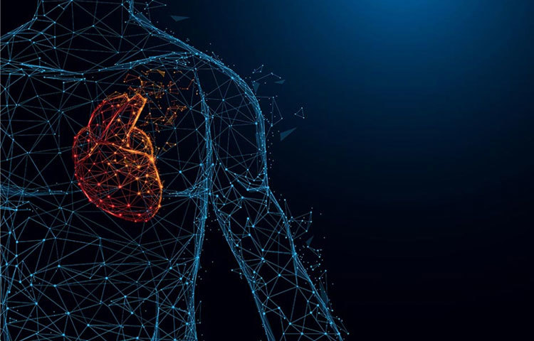 পায়ের উপরে পা তুলে বসলে স্নায়ু রিল্যাক্স হয়ে যায়। এভাবে খাবার খাওয়াও অনেক ভালো।