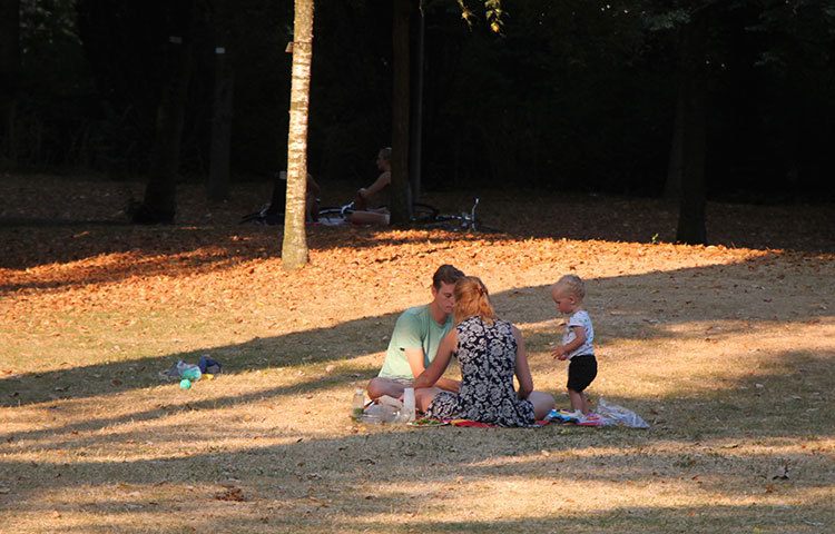 আমস্টারডামের গড় তাপমাত্রা ২৪ ডিগ্রি সেলসিয়াস পার হয়নি কখনোই, কিন্তু এবারের অবস্থা উল্টা। গড় তাপমাত্রা কম থাকার জন্য তারা বাসায় এয়ার কুলিং-এর মত তেমন কোন ব্যবস্থা রাখেনা। তাই অনাকাঙিক্ষত গরমে খোলা পার্কই ভরসা। ছবি : মোহাম্মদ মাহাভি