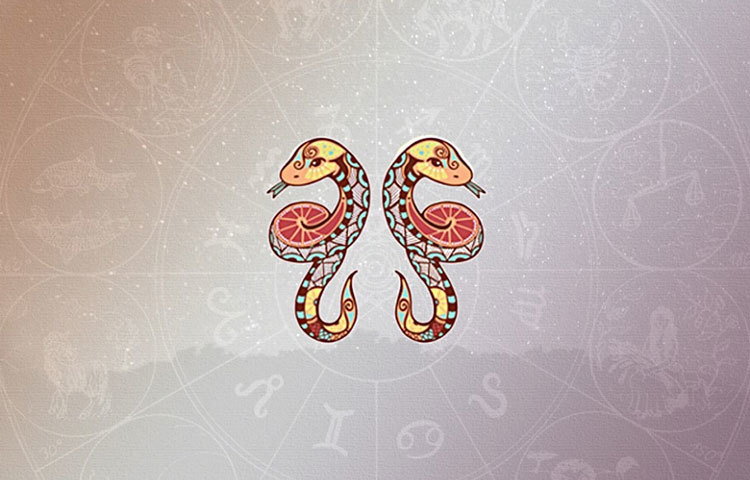 মিথুন : নীল।