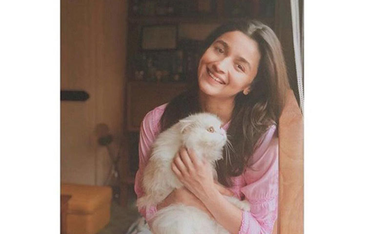 বলিউডের এই মুহূর্তের অন্যতম সেরা অভিনেত্রী আলিয়া ভাট। ২৪ বছরের আলিয়া সোশ্যাল মিডিয়ায় বেশ অ্যাকটিভ। ইন্ডাস্ট্রিতে শোনা যায়, এমন ন্যাচরাল লুকই নাকি রাখতে ভালবাসেন নায়িকা।