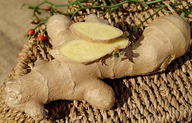 আদা : পানির মধ্যে এক টুকরো আদা ফেলে ফোটান। এবার পাঁচ মিনিট রেখে সেই মিশ্রণ খেয়ে নিন। শুধু হাঁপানি নয়, জ্বর, সর্দি-কাশি নয়, যে কোনো রোগেই সমান উপকারি আদার রস।