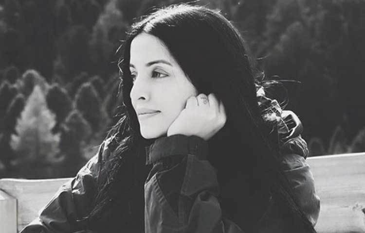 ২০১১ সালে দক্ষিণী ছবি ‘শ্রীমতি’র শুটিং চলাকালীন দুর্ঘটনার মুখোমুখি হয়েছিলেন সেলিনা জেটলি। স্ট্যান্ড ক্যামেরা থেকে ক্যামেরা খুলে গিয়ে সেলিনার গায়ের উপর পড়েছিল। ক্যামেরা অ্যাসিস্টেন্ট কোনওমতে রক্ষা করেছিলেন সেলিনাকে।