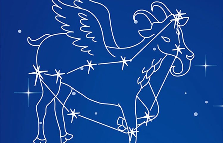 মকর : এই রাশির বসেরা সারাক্ষণ লাভের চিন্তায় থাকেন। এবং আপনি তাকে অনুসরণ করলে অনেক কিছু শিখতে পারেন।