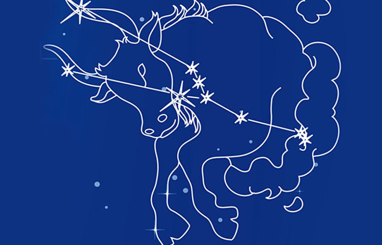 বৃষ : আপনার বস যদি এই রাশির জাতক হয়ে থাকেন, তাহলে তিনি প্রচণ্ড পরিশ্রম করতে পারেন এবং আপনার থেকেও সমান পরিশ্রম আশা করেন।