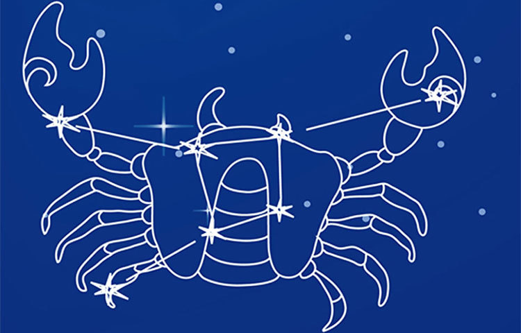 কর্কট : এই রাশির বস সবচেয়ে ভাল। আপনাকে কখনই বুঝতে দেবে না যে তারা আপনার বস। তারা কাজের ক্ষেত্রে আপনাকে অনেক সাহায্য করবেন। অফিসের মধ্যেও একটা বন্ধুত্বের পরিবেশ বজায় রাখবেন তারা।