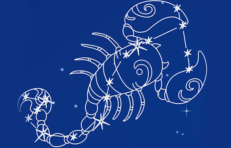 বৃশ্চিক : আপনার বস সহজে আপনাকে বিশ্বাস করতে চাইবে না। এই রাশির জাতকেরা খুব একগুঁয়ে প্রকৃতির। কাজে কোনো ফাঁকি দিলে আপনার আর রেহাই নেই।