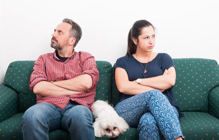 বাড়ির লোকজন যখন অস্বাভাবিক ব্যবহার করে। এমনকি পোষা প্রাণীরাও!