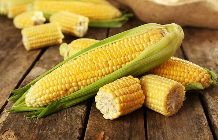 ভুট্টা : ভুট্টা বা ভুট্টা জাতীয় খাদ্য দ্রব্যে অতিরিক্ত ওমেগা ৬, ওমেগা ৩ এবং ফ্যাটি অ্যসিড থাকে, যা বলিরেখার ছাপ স্পষ্ট করে দেয়।