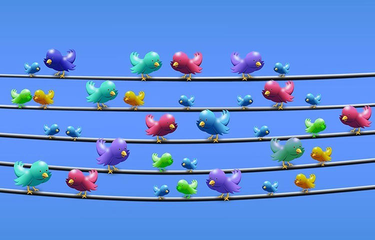 জীবনে প্রয়োজনীয় কাজের বাইরে অপ্রয়োজনীয় গুজব, পরনিন্দা-পরচর্চা নিয়েই মেতে থাকেন এরা।