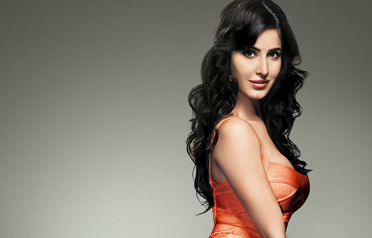 ক্যাটরিনা কাইফ : মাত্র ১৪ বছর বয়সেই মডেলিং ক্যারিয়ার শুরু করেন ক্যাটরিনা কাইফ। তারপরে তিনি আর স্কুলে যাননি।