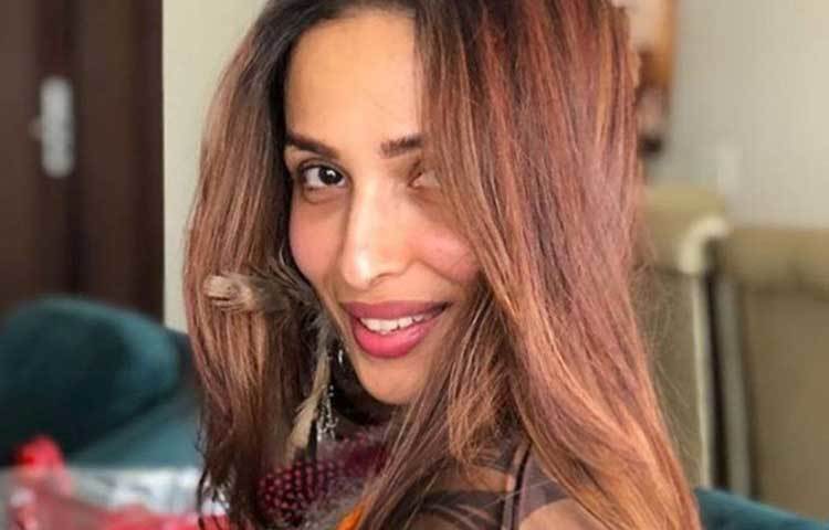 মালাইকা অরোরা খানের গ্লামার যেন বয়সের সঙ্গে সঙ্গে বেড়েই চলেছে। তার ভক্তরা বলেন, ৪৪ বছরের অভিনেত্রী আজও একই রকম গ্লামারাস। সম্প্রতি ইনস্টাগ্রামে মালাইকা এই ছবি শেয়ার করেছেন।