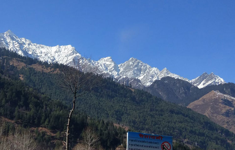 ভারতে যতগুলো হিল স্টেশন আছে তার মধ্যে একটি হলো মানালি। প্রকৃতির অপরূপ সাজে সজ্জিত মানালি। ছবি : জাগো নিউজ