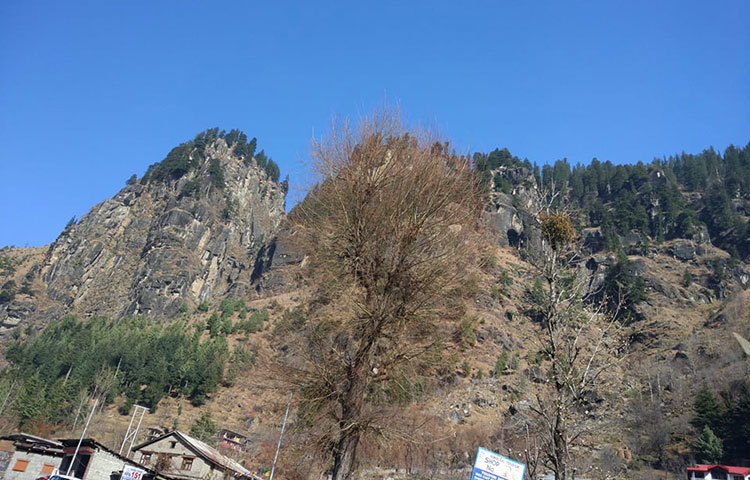 মানালিতে এলে মনে হবে প্রকৃতির এক অপার বিস্ময় আপনার জন্য অপেক্ষা করছে। ছবি : জাগো নিউজ