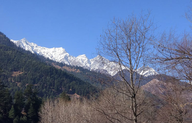 যারা পাহাড়-পর্বত আর নদী ভালোবাসেন, তাদের জন্য মানালিতে বেড়ানো একটি আদর্শ জায়গা হতে পারে। ছবি : জাগো নিউজ