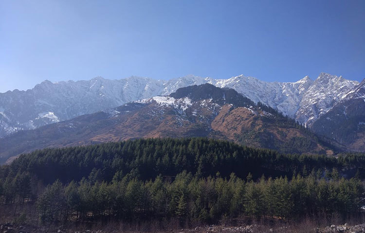 মানালির কাছে এলে মনে হবে যেন কোনো এক স্বর্গে চলে এসেছি। ছবি : জাগো নিউজ