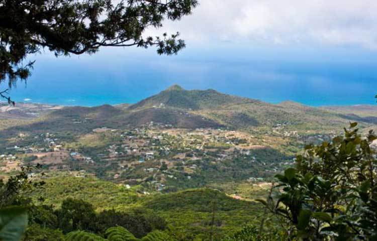 নেভিস : আলেকজান্দ্রিয়ার এই স্থানটি দেখতে অপূর্ব সুন্দর।