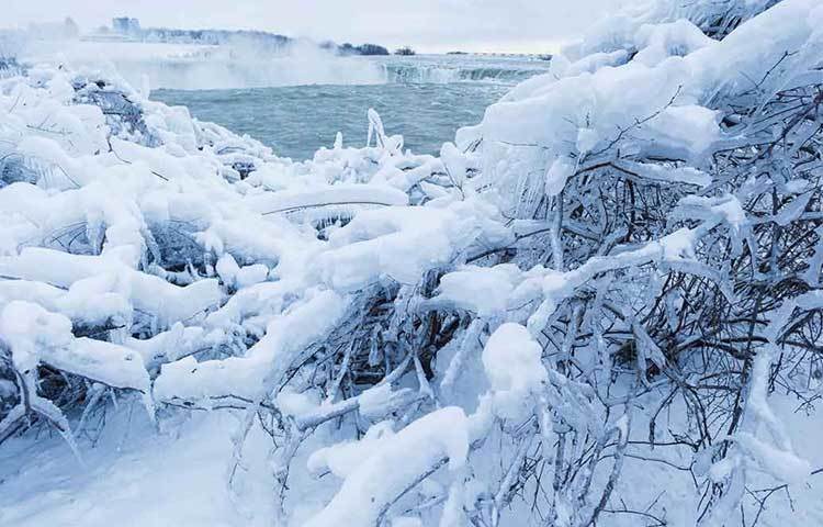 শুধু নায়াগ্রা নয়, প্রবল ঠান্ডায় জমে গিয়েছে ফ্লোরিডা, টেক্সাস-সহ আমেরিকার একটা বড় অংশও।