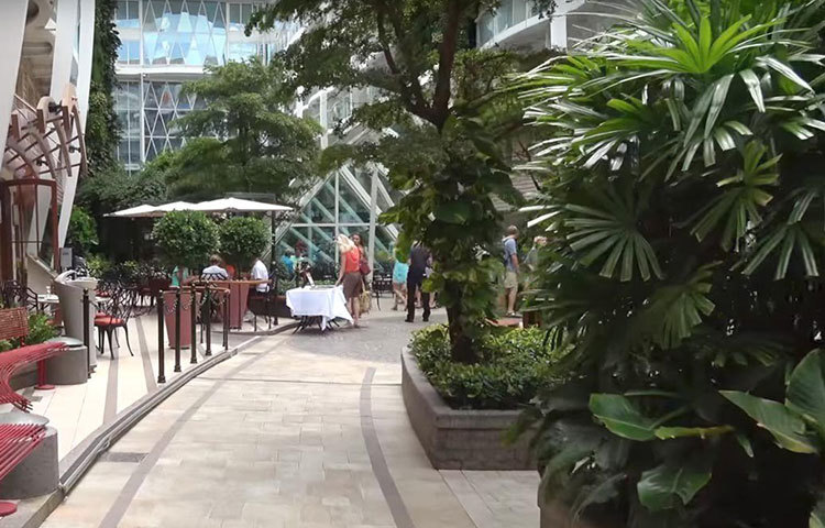 ‘ওয়েসিস অফ দ্য সিজ’-এ রয়েছে একটি বড় ভাসমান উদ্যান। যেখানে ১২ হাজার চারা গাছ এবং ৫৬টি বড় গাছ রয়েছে। জাহাজের পিছনের অংশে রয়েছে ৭৫০টি আসন বিশিষ্ট থিয়েটার, রয়েছে চারটি সুইমিং পুল।