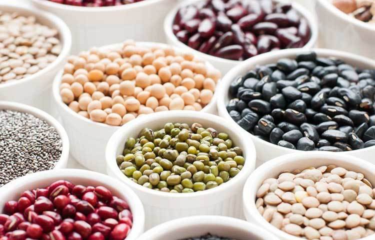 পি প্রোটিন : এই ধরনের প্রোটিনে ডেয়ারি প্রোটিনের মতো প্রচুর পরিমাণ প্রয়োজনীয় অ্যামাইনো অ্যাসিড থাকে। যা অনেকক্ষণ পেট ভরা রাখতে সাহায্য করে। শারীরিক গঠনেও সাহায্য করে।