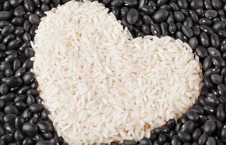 রাইস প্রোটিন : রাইস প্রোটিনে সব রকম প্রয়োজনীয় অ্যামাইনো অ্যাসিড থাকে না। আবার অনেক সময়ই রাইস প্রোটিনের সঙ্গে পি প্রোটিন মেশানো থাকে। তবে হোয়ে প্রোটিনের মতো রাইস প্রোটিন ফ্যাট কমাতে ও লিন মাস বাড়াতে সাহায্য করে।
