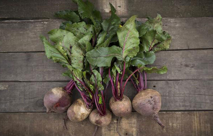 ফিটনেস জুস : নিয়মিত বিট অথবা পালং-এর রস বা জুস পান করলে তা রক্তচাপ কমিয়ে ধমনীকে স্ফিত করে, যা শরীরের অক্সিজেন চলাচলে সহায়তা করে। ফলে হৃদপিন্ড থাকে সুস্থ।