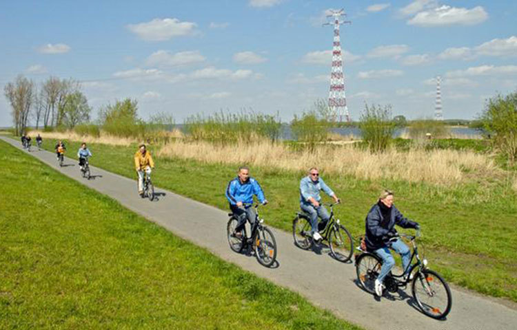 সাইকেল চালিয়ে সুস্থ থাকুন : সপ্তাহে কয়েকবার ৩০ মিনিট করে সাইকেল চালালে হার্ট অ্যাটাকের ঝুঁকি শতকরা ৫০ ভাগ কমে। বিভিন্ন গবেষণায় জানা যায়, শরীর ও মন সুস্থ রাখতে সাইকেল চালানো খুবই উপকারী।