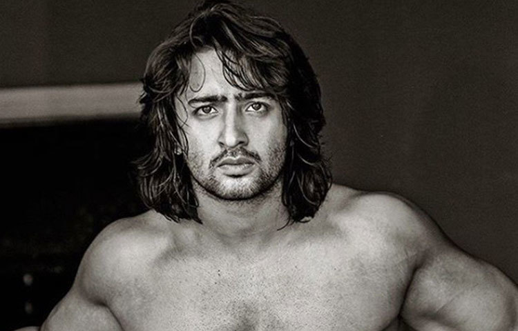 শাহির শেখ : ‘কুছ রং পেয়ার কে অ্যায়সে ভি’ ধারাবাহিক খ্যাত ‘দেব’ শাহির শেখ। শাহিরও নাকি বেশ কয়েকবার বলিউডে অভিনয় করার সুযোগ পেয়েছিলেন। কিন্তু তার বক্তব্য, ছবিতে একটি ছোট রোলে অভিনয় করার চেয়ে ধারাবাহিকের মূল চরিত্রে অভিনয় করে তিনি অনেক বেশি খুশি।