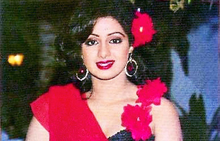 শেখর কাপুরের ‘মিস্টার ইন্ডিয়া’ ছবিতে মিস হাওয়া হাওয়াই।