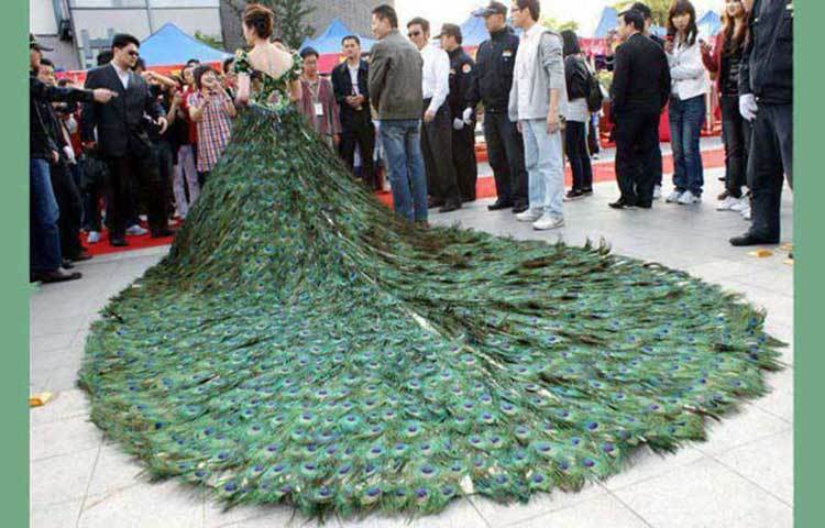 বিয়ের পোশাক : বিয়ের পোশাকটি ময়ূরের পালকে তৈরি। এটি তৈরি করেছেন চীনের কয়েকজন হস্তশিল্পী। এতে সময় লেগেছিল প্রায় দুই মাস। মূল্য নির্ধারণ করা হয় ১.৫ মিলিয়ন মার্কিন ডলার।