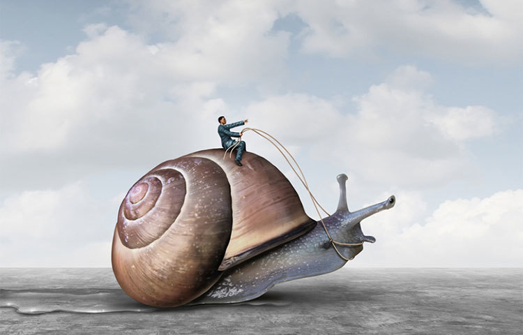 জীবনে সফল হতে গেলে ধৈর্য ও অধ্যবসায়ের প্রয়োজন রয়েছে।