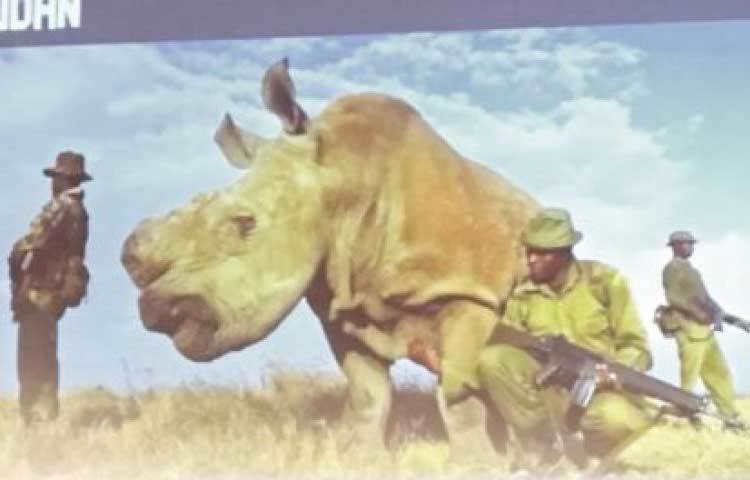 এখন সুদানের মৃত্যুর পর তার উপ-প্রজাতি মেয়ে নাজিন (২৭) ও নাতনি ফাটু (১৭) বেঁচে রয়েছে। এরা উত্তরী গন্ডারের উপ-প্রজাতির শেষ দুই মাদী গন্ডার।