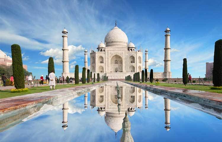 শুধু ২০,০০০ শ্রমিকই নয়, তাজমহল নির্মাণে ১০০০টি হাতির সাহায্যও লেগেছিল।