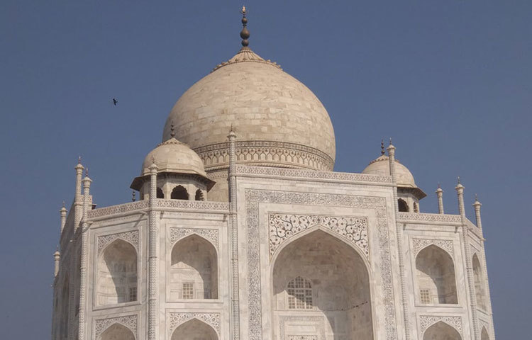 তাজমহলের সৌন্দর্য নিয়ে বিশ্বের অনেক দেশের কবি, সাহিত্যিকরা কবিতা, গল্প, গান লিখেছেন। ছবি : জাগো নিউজ