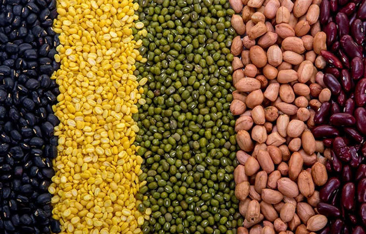 ভাগন ডায়েট : সমস্ত ধরনের শস্যই এই ডায়েটের আসল রসদ। তবে অনেকে মাছ-মাংস-ডিম প্রভৃতি হাই প্রটিন জাতীয় খাদ্যও খান এই ডায়েটে।