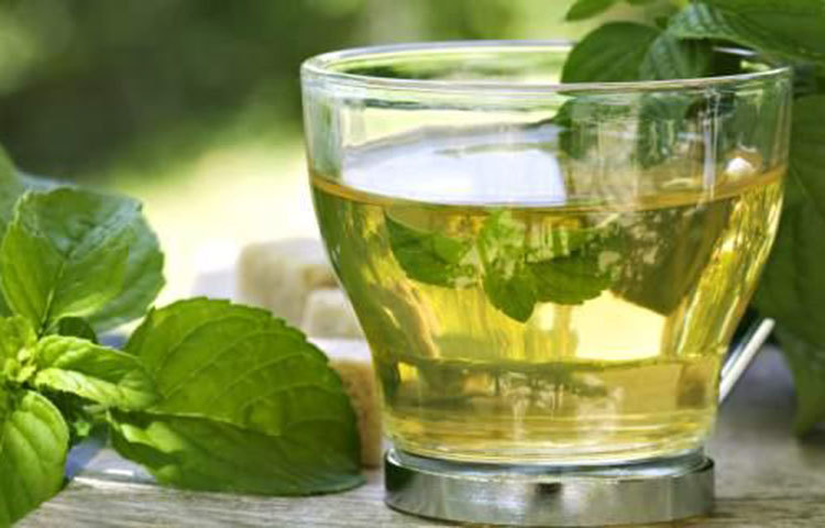 ওজন কমাতে চাইলে গ্রিন টি পানে অভ্যেস করুন।