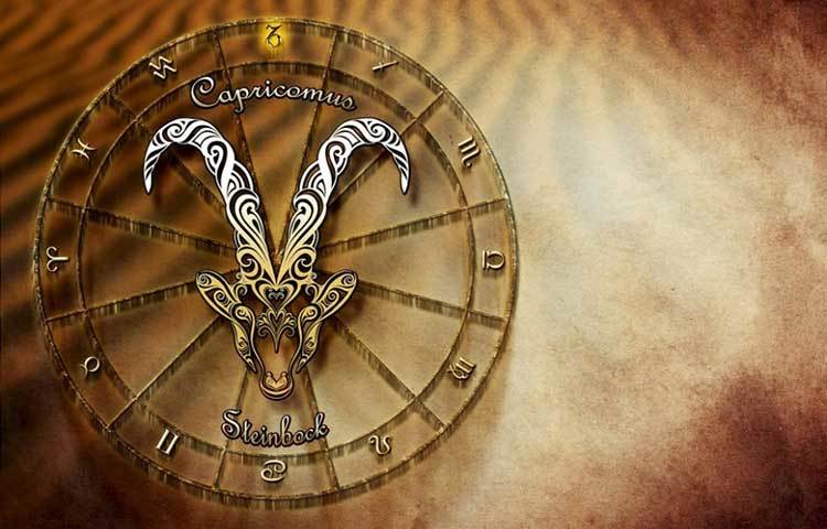 মকর : উচ্চাকাঙক্ষী।