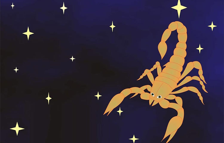 বৃশ্চিক : ২২, ২৪, ২৪ ও ৩২ বছর বয়সে।