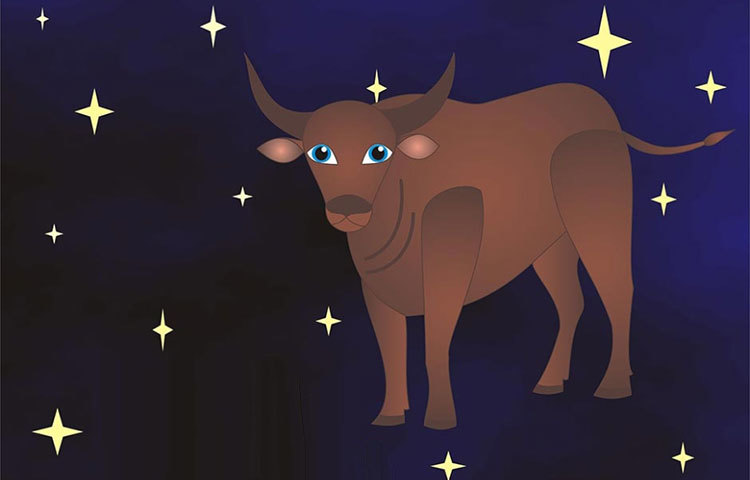 বৃষ : ২২, ৩২, ৩৫, ৩৬ ও ৪২ বছর বয়সে।