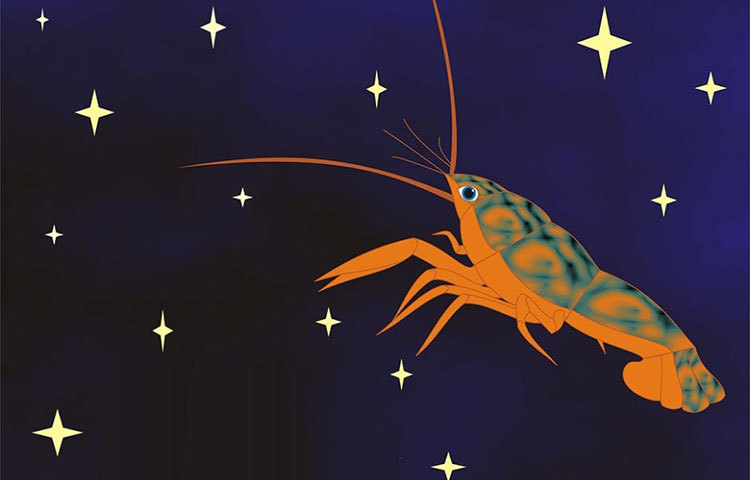 কর্কট : ১৬, ২২, ২৪, ২৫, ২৮ ও ৩২ বছর বয়সে।