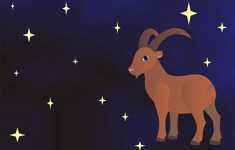 মকর : ২৫, ৩৩, ৩৫ ও ৩৬ বছর বয়সে।