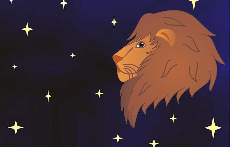 সিংহ : ১৬, ২২, ২৪, ২৬, ২৮ ও ৩২ বছর বয়সে।