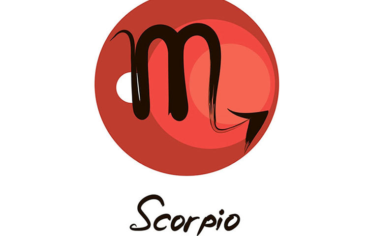 বৃশ্চিক : ভ্যালেন্টাইনডেতেও নিঃসঙ্গতাই আপনার সঙ্গী হবে।