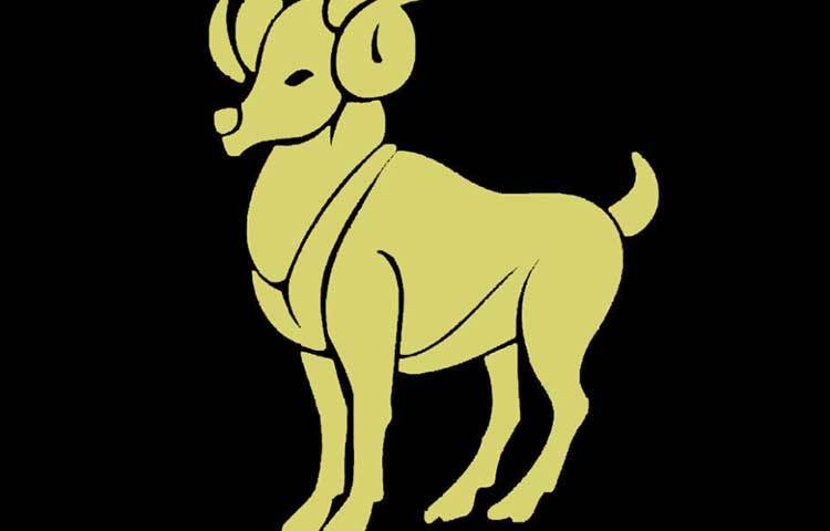 মেষ : এ বছরটা সবথেকে ভালো কাটবে এই রাশির জাতকের। শুভ দিন সোমবার।