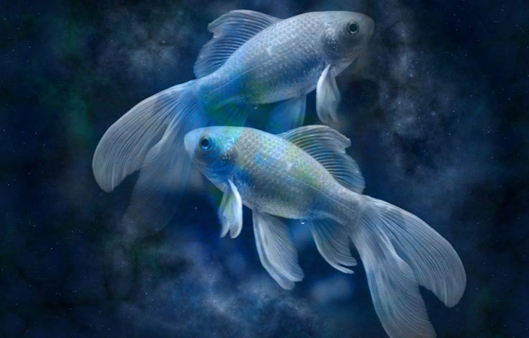 মীন : এরা খুব ভাল মনের মানুষ হয়। তাই ধাক্কাও খায়। নিজেকে কষ্টের হাত থেকে বাঁচানোর জন্য সব কিছু ভুলে যাওয়াই সঠিক কাজ। তবে প্রত্যেকটি ঘটনা থেকে শিক্ষা নেওয়া উচিৎ।