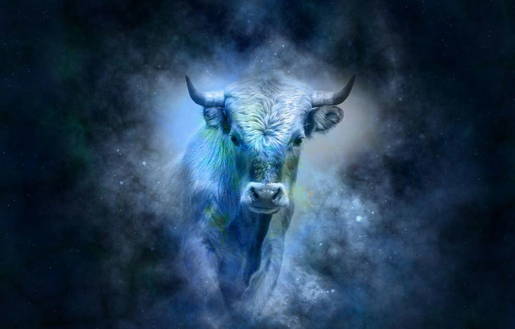 বৃষ : সম্পর্কে ভুল কিছু করে থাকলে ক্ষমা চেয়ে নিন। নিজের ইগো-কে প্রাধান্য দিলে হারিয়ে যাবে মনের মানুষটি।