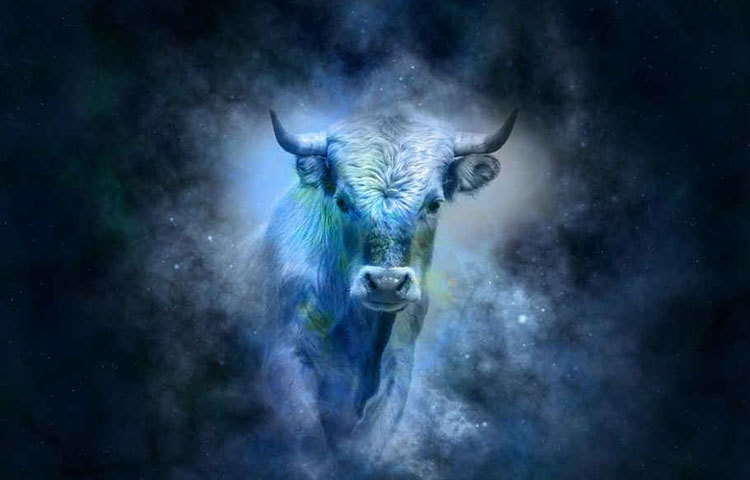 বৃশ : এই রাশির মানুষেরা অন্যকে খুবই কম বিশ্বাস করেন। এদের আর্দশ সঙ্গী বৃশ্চিক রাশির মানুষেরা।