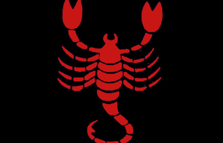 বৃশ্চিক : সঠিক সিদ্ধান্ত নেয়ার সেরা সময় ২০১৮ সাল। শুভদিন সোমবার ও রবিবার।