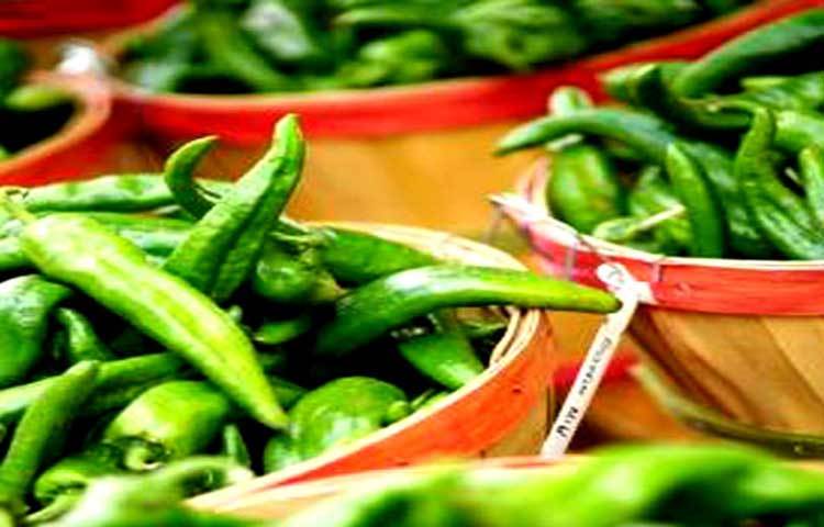 সুগার নিয়ন্ত্রণে বড় ভূমিকা রয়েছে কাঁচা মরিচের। যারা ডায়াবেটিসে ভুগছেন তাদের জন্য কাঁচা মরিচ খুবই উপকারী। কাঁচা মরিচের মধ্যে থাকা একটি উপাদান রক্তে চিনির মাত্রা নিয়ন্ত্রণে রাখে।